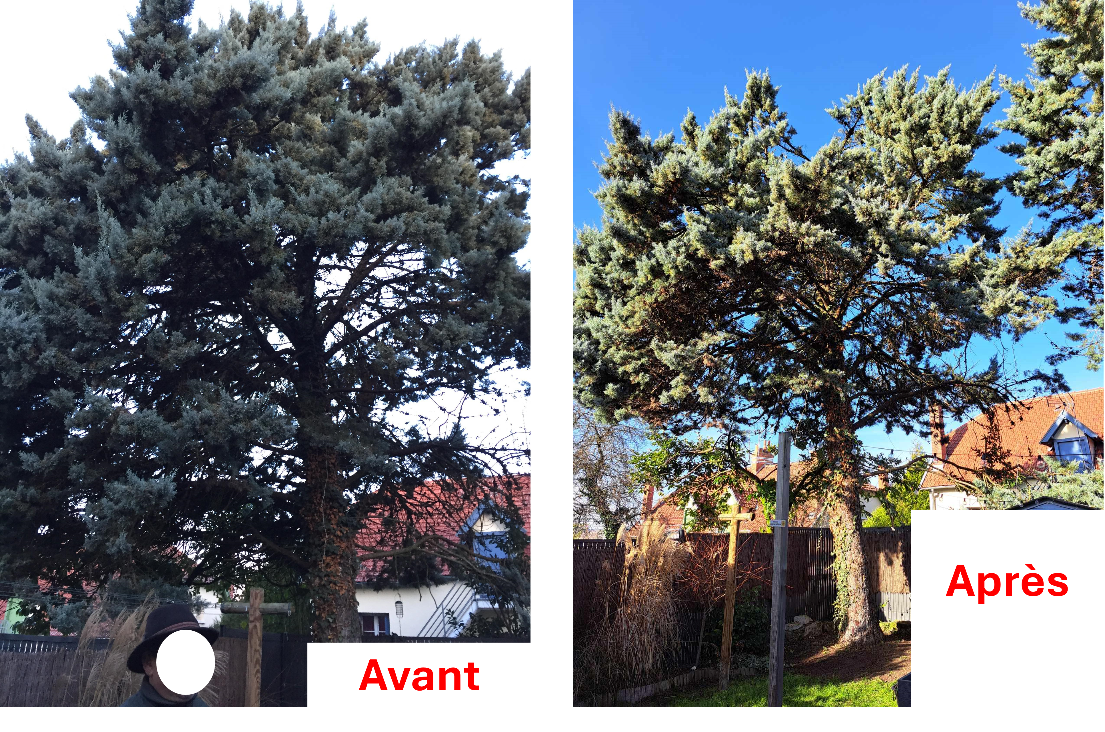 Photo n° 2 de l'avis de J..t fait le 16/01/2024 à 15:20