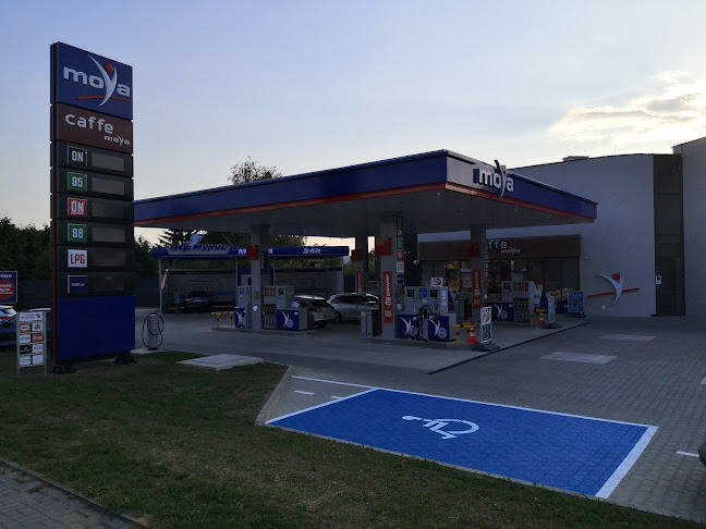 Aleja Armii Krajowej 7a, 35-307 Rzeszów