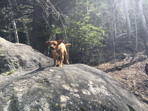 Pet Store «Red Hill Pet Center», reviews and photos, 1566 4th St, San Rafael, CA 94901, USA