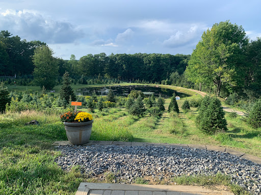 Outdoor Sports Store «Maple Hill Disc Golf», reviews and photos, 132 Marshall St, Leicester, MA 01524, USA