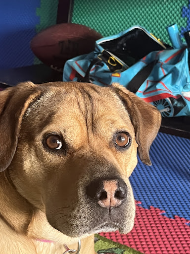 Used Car Dealer «Del Toro Auto Sales», reviews and photos, 415 Auburn Ave, Auburn, WA 98002, USA