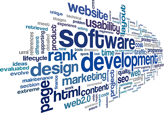 SEO & Website Development