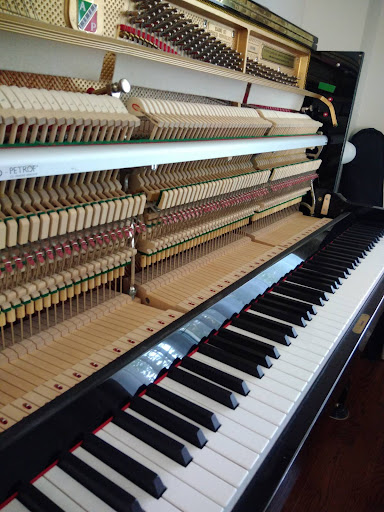 Professional piano tuner