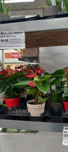 Warehouse club «BJ’s Wholesale Club», reviews and photos, 825 Pelham Pkwy, Pelham Manor, NY 10803, USA