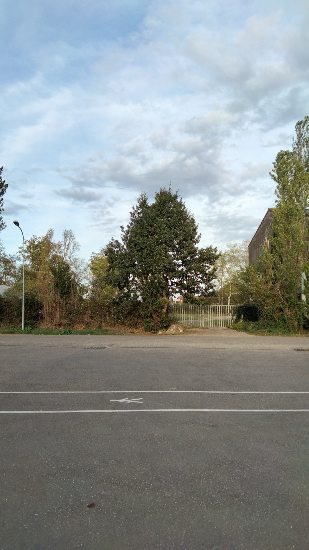 Photo n° 43 de l'avis de Francisco.a fait le 24/10/2022 à 15:38