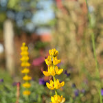 Photo n°14 de l'avis de Silke.l fait le 05/05/2018 à 09:45 sur le  Hospedaria Convento de Tibães à Braga