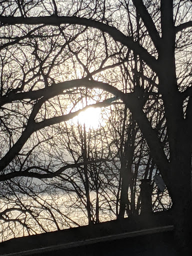 Supermarket «The Harrison Market», reviews and photos, 355 Halstead Ave, Harrison, NY 10528, USA