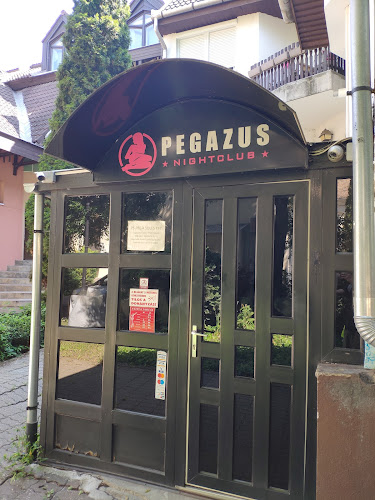 Pegazus Night Club