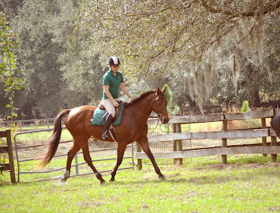 Turning Leaf Farm Hunter Jumper Horses, Spring Hill, FL