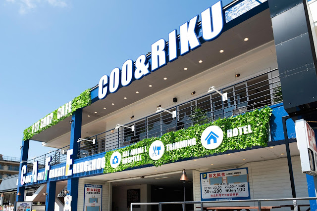 Usagikafe Usagiparadaisu Enoshimaten