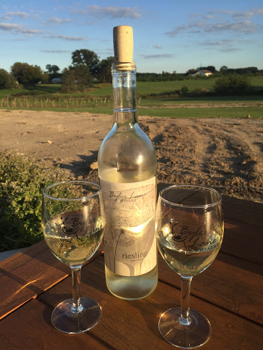Winery «Byler Lane Winery», reviews and photos, 5858 Co Rd 35, Auburn, IN 46706, USA