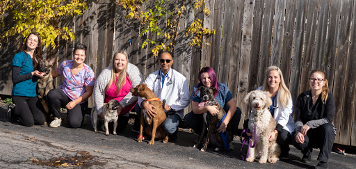 Bridgeview Animal Hospital image