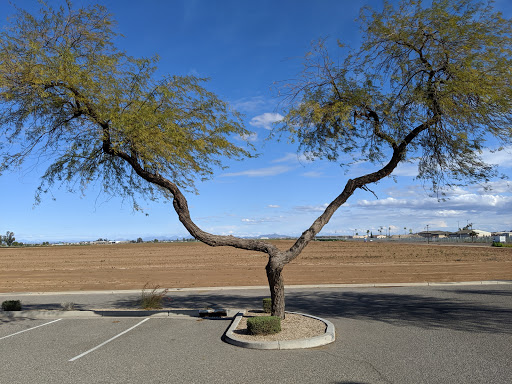 Golf Course «Falcon Dunes Golf Course», reviews and photos, 15100 Northern Ave, Waddell, AZ 85355, USA