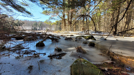 Nature Preserve «Maltby Lakes», reviews and photos, Derby Turnpike, West Haven, CT 06516, USA