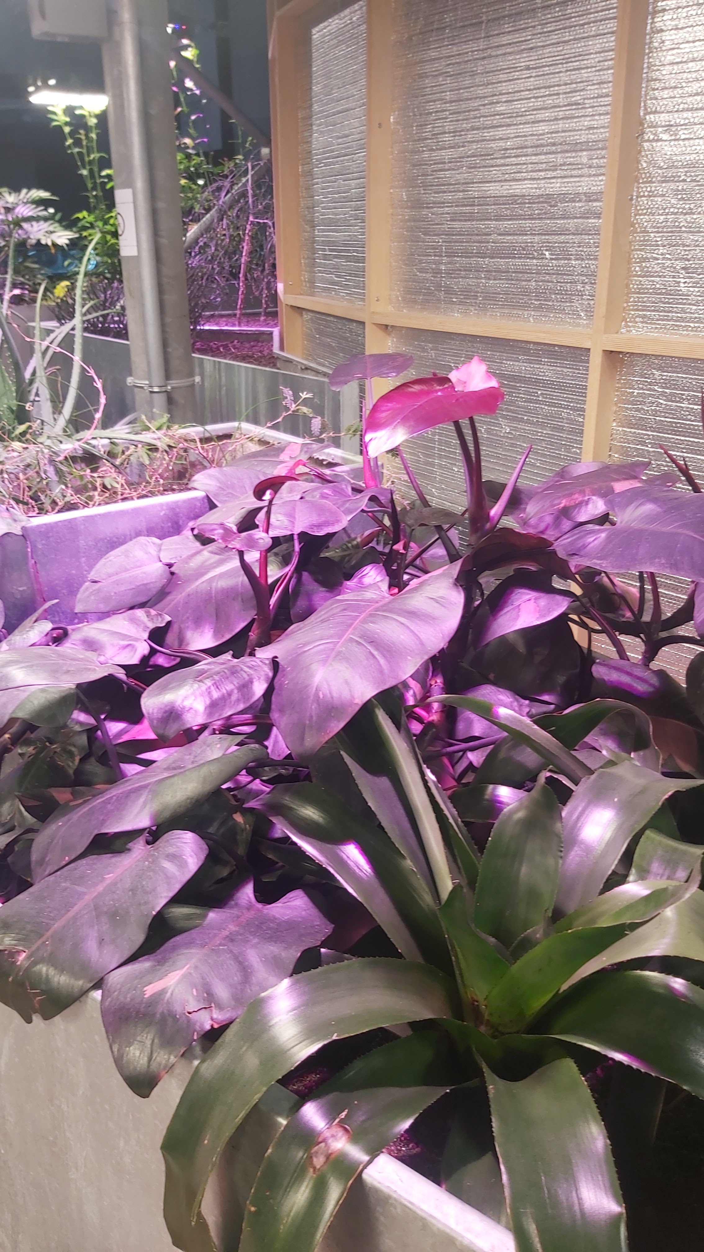 Photo n° 29 de l'avis de Celine.e fait le 27/01/2024 à 14:49