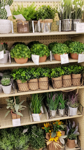 Craft Store «Hobby Lobby», reviews and photos, 2540 S Washington Ave, Titusville, FL 32780, USA