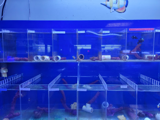 Tropical Fish Store «Coral Reef Aquariums», reviews and photos, 8416 N Armenia Ave, Tampa, FL 33604, USA