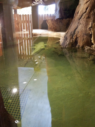 Zoo «Palm Beach Zoo & Conservation Society», reviews and photos, 1301 Summit Blvd, West Palm Beach, FL 33405, USA