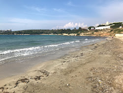 Ali Bostan Plajı'in fotoğrafı geniş bir kıyı şeridi ile birlikte