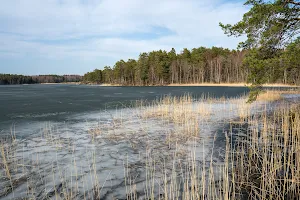 Lillsjön-Örnässjöns naturreservat image