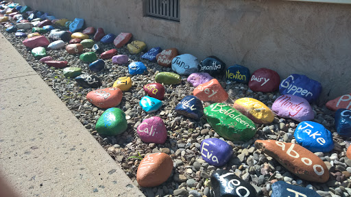 Dog Day Care Center «Dog Days Daycare Center», reviews and photos, 281 Roycefield Rd, Hillsborough Township, NJ 08844, USA