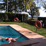 Photo n°1 de l'avis de spanu.n fait le 15/08/2021 à 03:54 sur le  Airone Hotel à Reggio Emilia