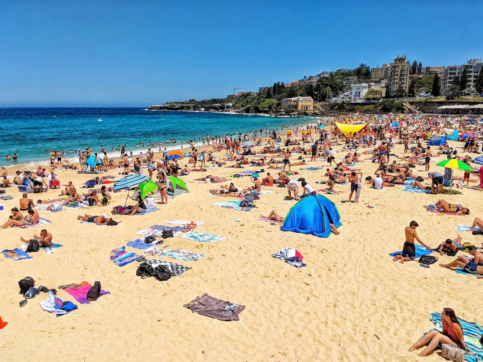Photo of Coogee Beach and the settlement