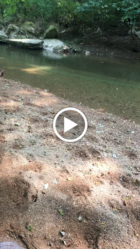 Insurance Agency «Adam Darby - State Farm Insurance Agent», reviews and photos