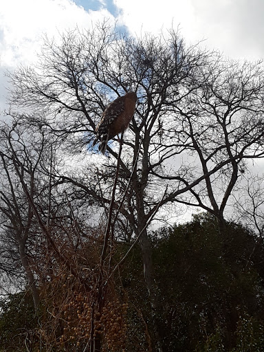 Park «John James Park», reviews and photos, 3910 Rittiman Rd, San Antonio, TX 78234, USA