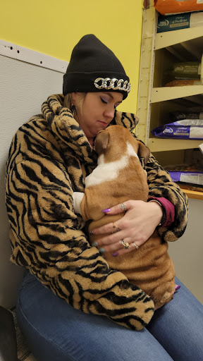 Pet Store «Yuppy Puppy Pet Shop», reviews and photos, 292 Frantz Rd, Stroudsburg, PA 18360, USA