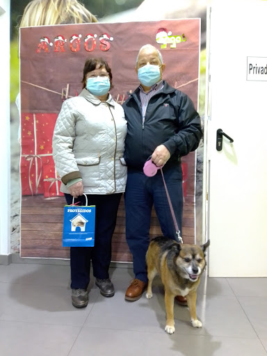 Clínica Veterinaria Argos Urgencias 24 H en Lagarteria