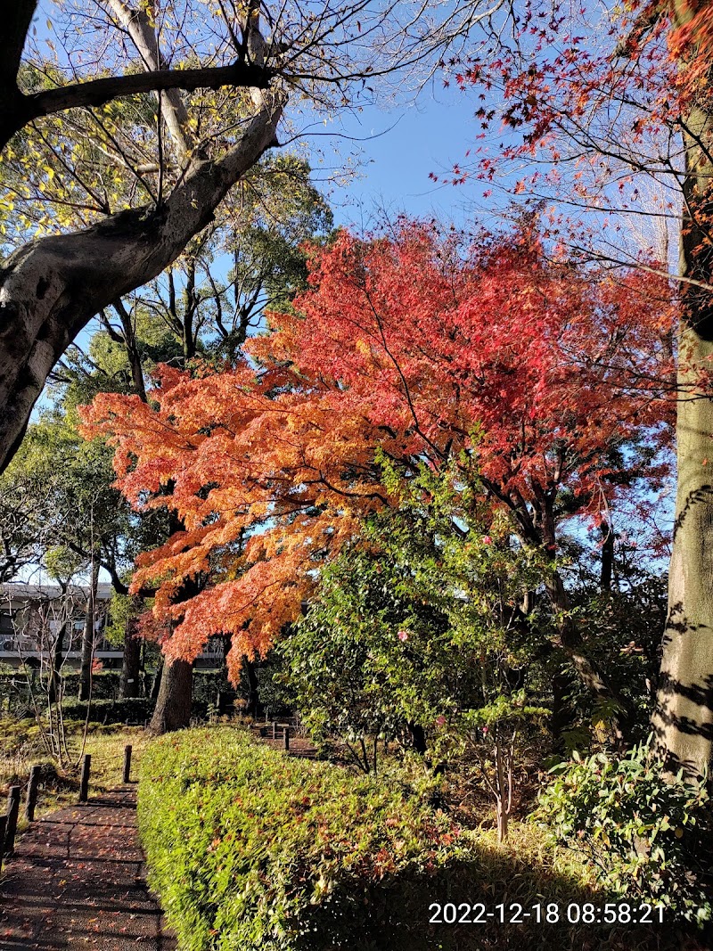 蘇峰公園