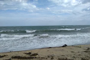 Narippaiyur Beach image