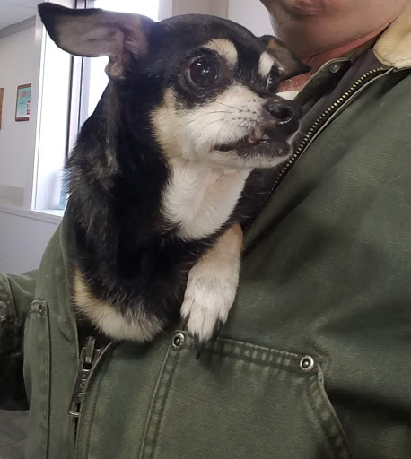 Southeastern Pet Vacc image