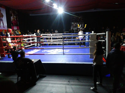 Club Social Y Deportivo Alsina /Museo Argentino del Kickboxing y Muay Thai