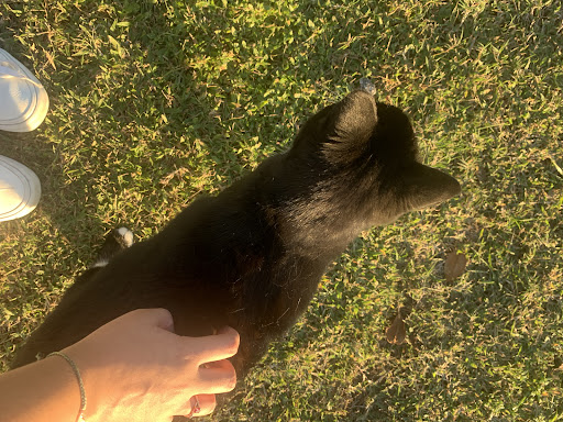 Winery «Summer Crush Vineyard & Winery», reviews and photos, 4200 Johnston Rd, Fort Pierce, FL 34951, USA