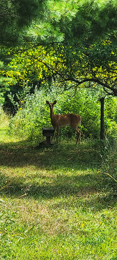 Nature Preserve «Sutherland Nature Sanctuary», reviews and photos, 3998 Diehl Rd, Metamora, MI 48455, USA