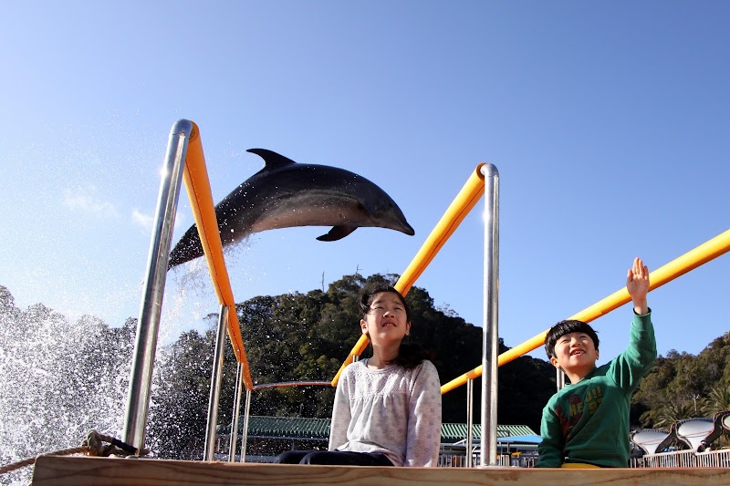 下田海中水族館