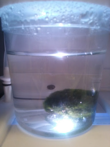 Pet Supply Store «Petsense Cleburne», reviews and photos, 1301 W Henderson St, Cleburne, TX 76033, USA