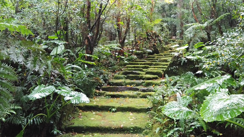 屋久島総合自然公園