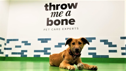 Throw Me A Bone Inc. | NYC Dog Daycare, Grooming and Boarding