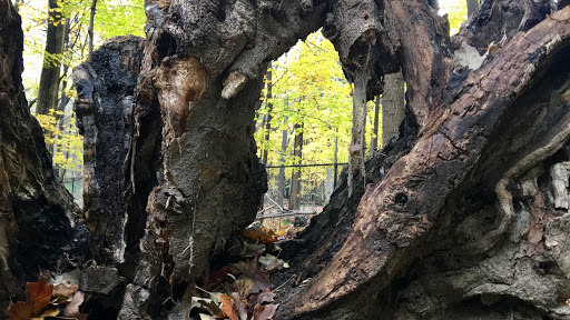 Nature Preserve «River Trail Nature Center», reviews and photos, 3120 Milwaukee Ave, Northbrook, IL 60062, USA