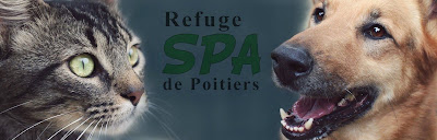 SPA - Secours et Protection des Animaux à Poitiers