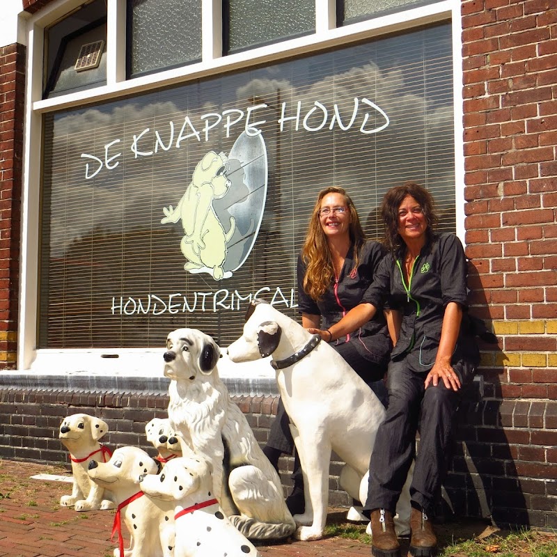 De Knappe Hond Hondentrimsalon