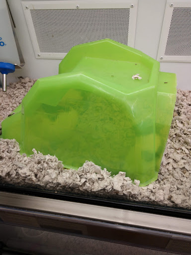 Pet Supply Store «Petco Animal Supplies», reviews and photos, 226 Thornton Drive, Dickson, TN 37055, USA