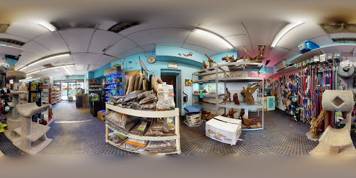 Pet Store «World Wide Aquarium & Pets», reviews and photos, 7043 Ridge Ave, Philadelphia, PA 19128, USA