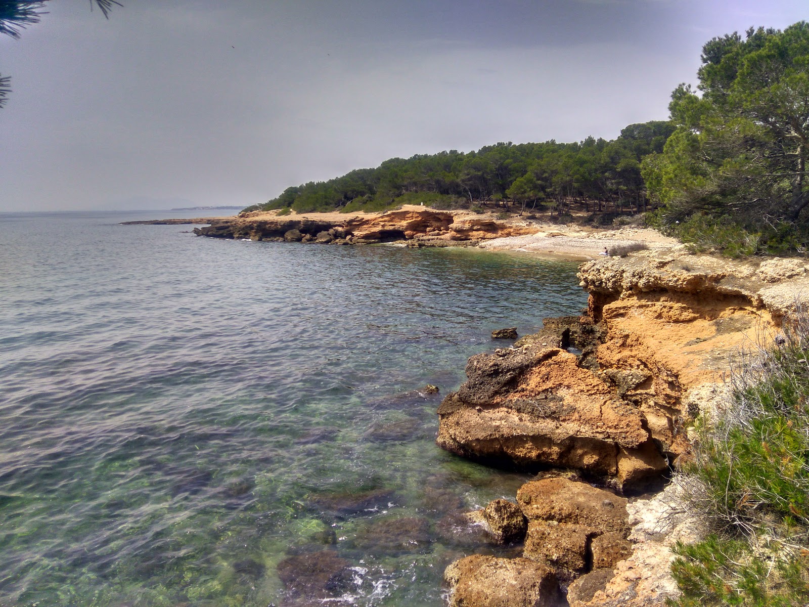 Platja Port Olivet'in fotoğrafı küçük koy ile birlikte