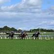 Te Rapa Racecourse