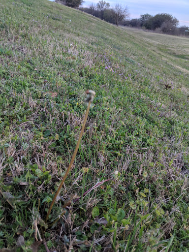 Park «Northwest Community Park», reviews and photos, 8575 Blue Mound Rd, Fort Worth, TX 76137, USA