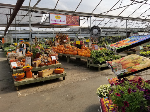 Garden Center «Pike Nurseries», reviews and photos, 615 W Crossville Rd, Roswell, GA 30075, USA